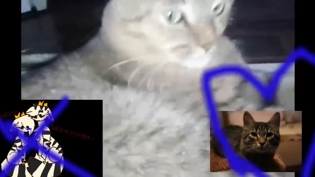 Клип: а помнишь вечер