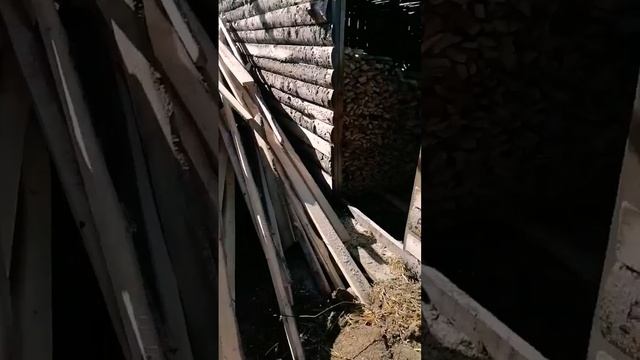 Запустили новое производство. #штакетник #бизнесвдер? смотреть онлайн