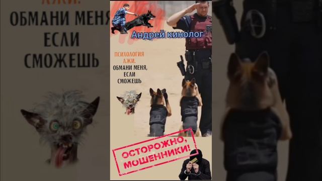 Обслуживатели,продлеватели и остальные звонючки! смотреть онлайн