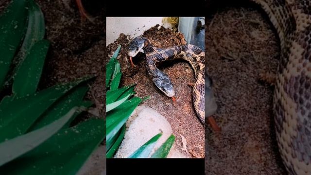 Красивые места нашей планеты земля 🌐 #города смотреть онлайн