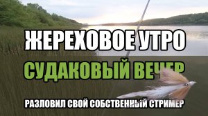 Разловил собственный стример! Весенняя рыбалка на хищника. Жерех на бомбарду!