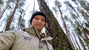 Лебеди | Кровь злых людей | Рассада цветов | Первые отгрузки цветов