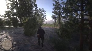 Red Dead Redemption 2 Карта сокровищ шайки Джека Холла 1