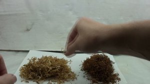 Сорт табака Тернопольский 14, краткий обзор