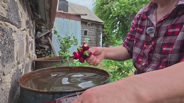 За милу душу, красота. Работа на огороде. Жизнь простых людей в деревне смотреть онлайн