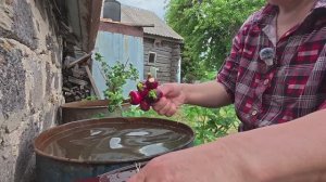 За милу душу, красота. Работа на огороде. Жизнь простых людей в деревне