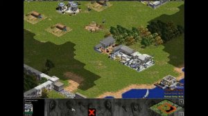 Age of empires (1997) - особенности цивилизаций