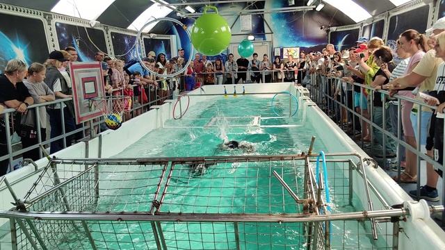 Байкал. Нерпинарий смотреть онлайн