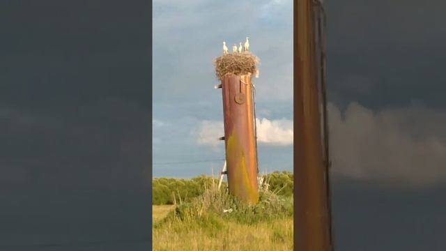 Уголок РОССИИ... смотреть онлайн