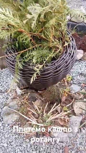 кашпо з ротангу. 5 л. смотреть онлайн