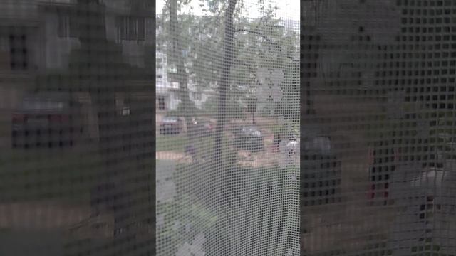 КОГДА ПЕШКЕ ДАЛИ ВЛАСТИ ЧУТОК смотреть онлайн