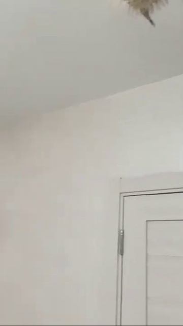 Установка Натяжных потолков в Нижнем Новгороде от мен смотреть онлайн