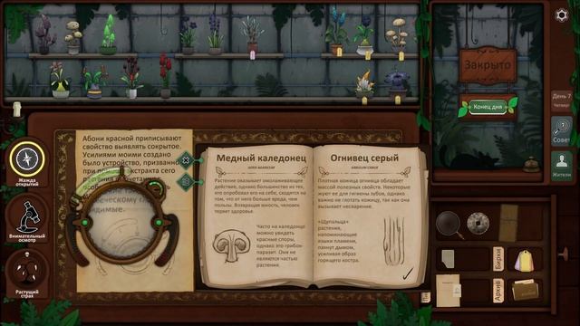 Strange Horticulture | #5 | Загадочные символы