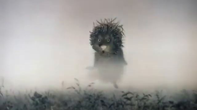 Ежик и Arcturus смотреть онлайн