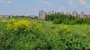 Кп Снегири(Английский двор сейчас) 2016  - 18 - 20225 ггг Кемерово