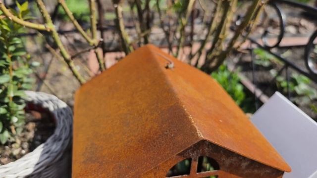 Весеннее обновление / Садовый уголок / Новые растения/ смотреть онлайн