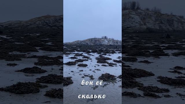 мыс Серафим, ноябрь (!!!).