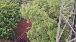 Не люблю когда так делают! Муж успокоился и снова пошли в банк. Дождь в Путтапарти. Ужин в ашраме.