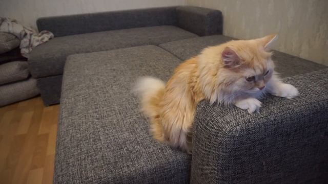 VLOG: у меня отобрали рукодельный уголок! // Итоги розыгр? смотреть онлайн