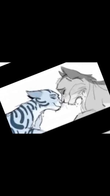 Серебрянка заказ