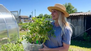 ЖИЗНЬ В ДЕРЕВНЕ/СТРОИМ КУРЯТНИК/САЖАЕМ ОГОРОД/ГОТОВИМ ДАМЛАМУ В КАЗАНЕ