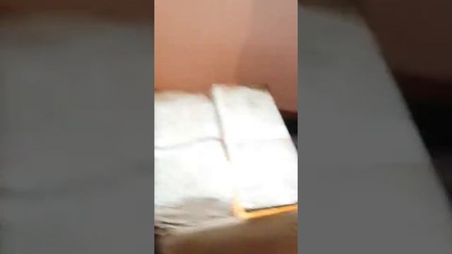 Инкубатор сработал смотреть онлайн