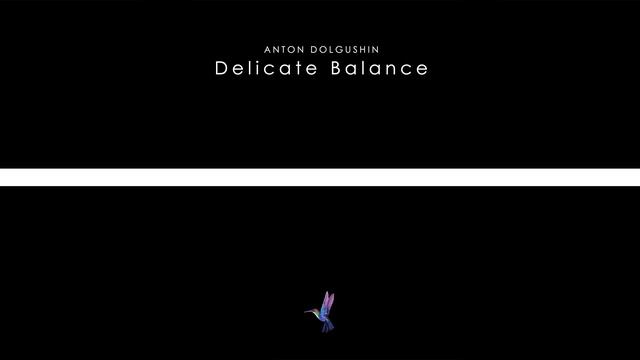 Anton Dolgushin - Delicate Balance