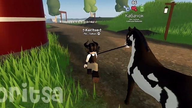 Влог с конюшни🐎💫/Wild Horse Island 💖/Тренировка,работа в ру смотреть онлайн