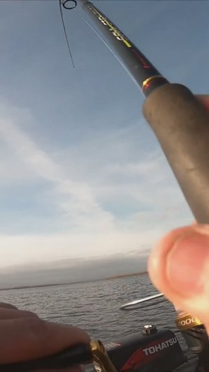 СУДАК НА ДЖИГ НА ВОЛГЕ/ПОКЛЁВКА И ВЫВАЖИВАНИЕ СУДАКА/СПИННИНГ/РЫБАЛКА НА СИЛИКОН/РЕКА ВОЛГА/САМАРА