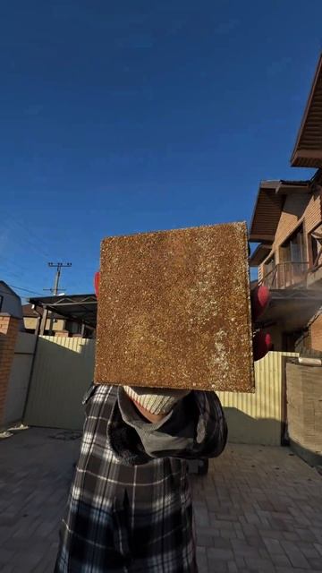 Тротуарная плитка PROPRESS смотреть онлайн