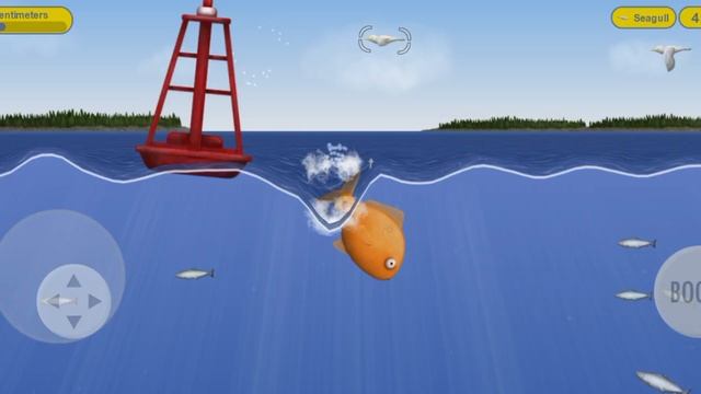 Буль-буль это ВСЕГО ЛИШЬ РЫБКЫ смотреть онлайн