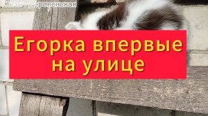 Егорка впервые на улице