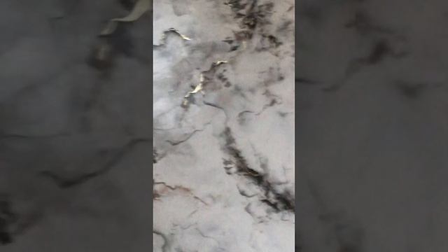 Позолота ліпнини. Венеціанська штукатурка. #позолота#? смотреть онлайн