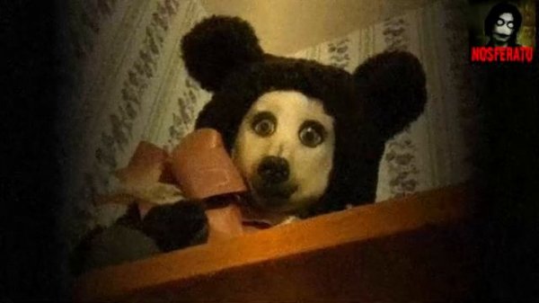 ТЕДДИ. Страшные истории на ночь 🫣🫣🫣