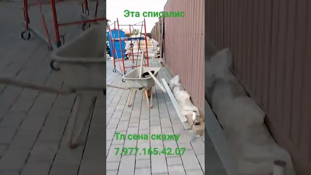 , тротуарная брусчатка специалист цена скажу смотреть онлайн