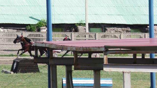 07.05.2025г.Абаканский Ипподром Приз Весенний для лошадей орловской рысистой породы старшего возраст