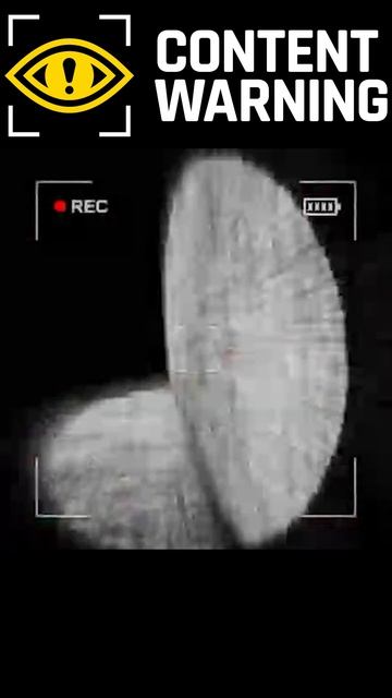 Репортаж про бомбы и растяжку Content Warning #rainek #gaming #contentwarning