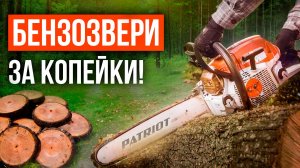 Лучшие бензопилы до 10 000 рублей! Рейтинг цепных пил для дома и дачи в 2025 году!
