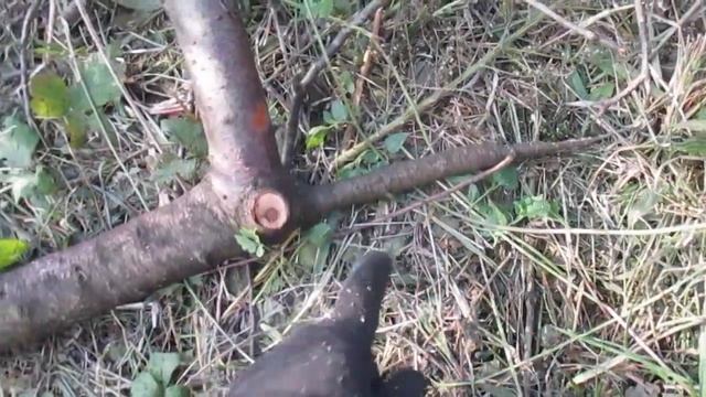 Заготовка дров своими руками. Как распилить ветки на дрова