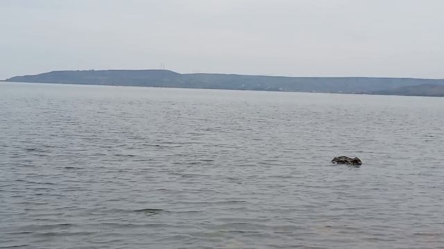 Тишь да гладь, просто благодать: Азовское море в лучах заката 🌊✨ смотреть онлайн