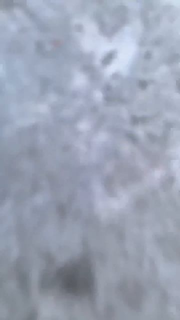 Кароче хил в уголок #самокат #automobile #самокатеры #skate #пе? смотреть онлайн