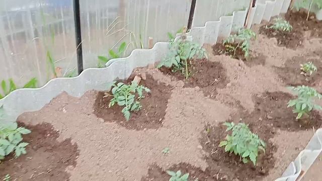 ЖИЗНЬ В ДЕРЕВНЕ