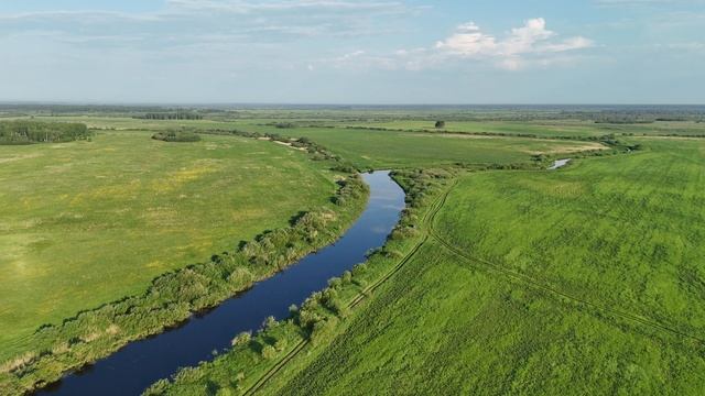 Летнее утро