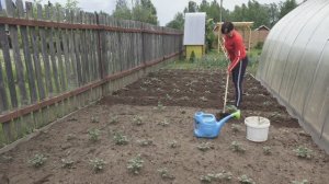 6 соток 1 июня 2025 года. 1 часть