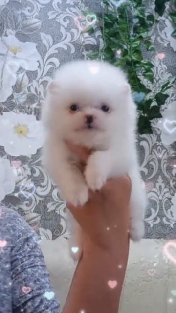 Белое облачко