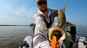 Рыбалка на Амуре на спиннинг, только на джиг клюют трофеи