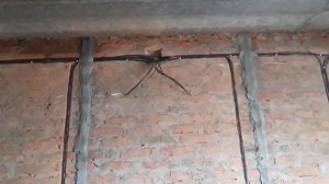 Фиксация электро проводки перед штукатуркой 12 кв. м по