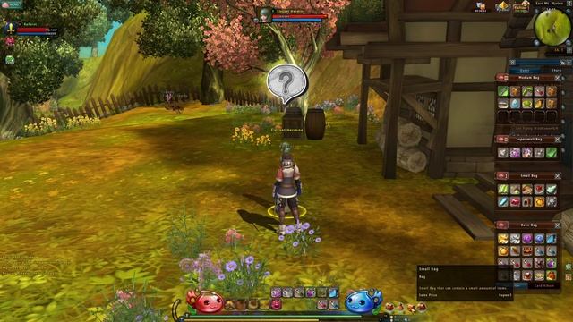 Ragnarok Online 2 | Наследие легенды