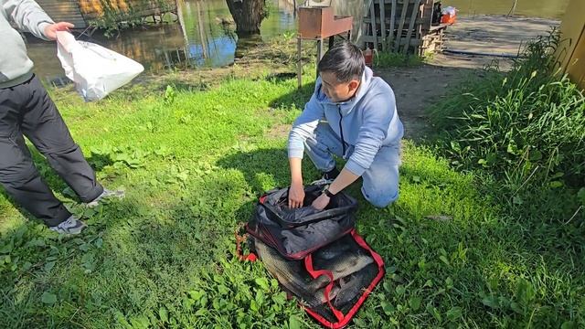 02.05.25 г. Парк отдыха водопад смотреть онлайн