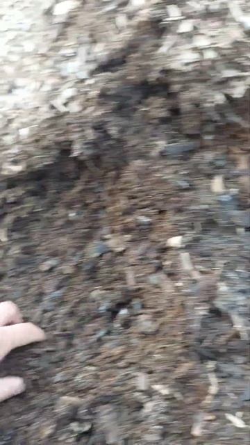 Тем, кто строится из опилок, щепы, стружки смотреть онлайн